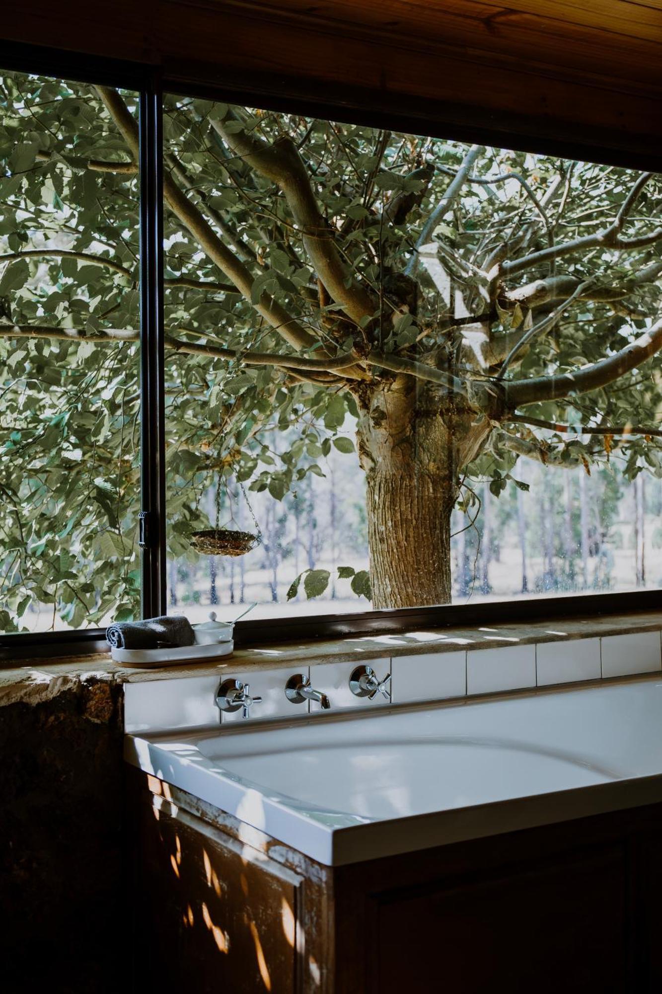 Clover Cottage Country Retreat Manjimup Luaran gambar